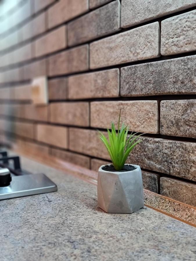 Petropavlivska Apartment Тиха Вуличка В Центрі Старого Міста Kamjanets-Podilskyi Eksteriør billede